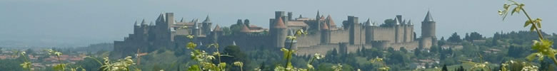 view of Carcassonne, Aude, Languedoc