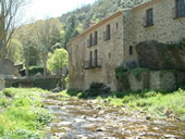 the mill stream